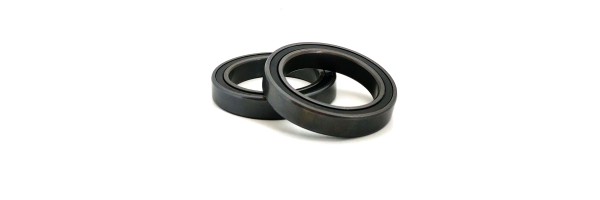  NanoTec Wheel bearings kits for ZIPP (SET OF 6)